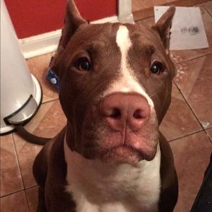 Meet your Posher, Fabiola